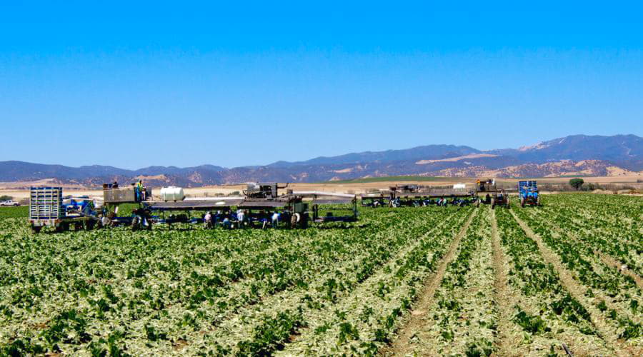 Top autoverhuur aanbiedingen in Salinas